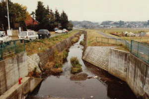 Trước khi mở rộng sông Umeda
