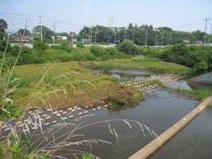 阿久和川遊水地の画像