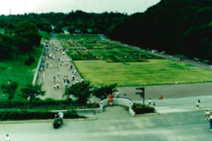 子どもの国遊水池 平常時の画像