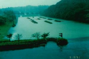 子どもの国遊水池 増水時の画像