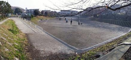 入江川遊水池の画像