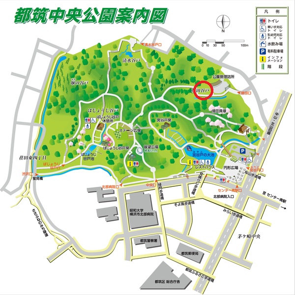 都筑中央公園の北西に花壇があります。