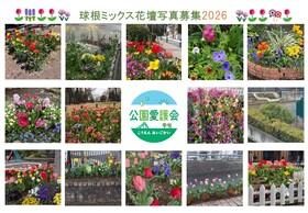 球根ミックス花壇写真募集2026