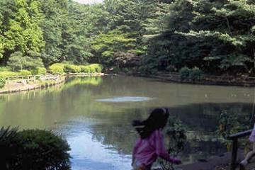 横浜市児童遊園地の写真