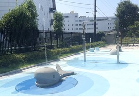水遊び場の写真です。