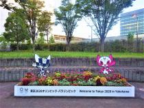 新横浜駅北口駅前広場の花壇の写真