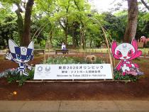 横浜公園の花壇の写真