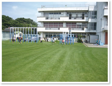 芝生化した校庭の写真