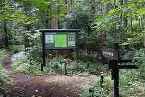 瀬谷・旭にまたがる４つの市民の森を巡ろう！