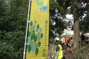 【NEW】東寺尾ふれあいの樹林 森づくりボランティア活動（初級編）