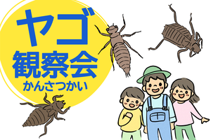 【NEW】ヤゴ観察会