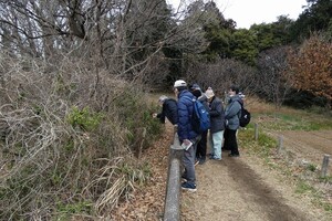 【NEW】舞岡ふるさとの森散策会