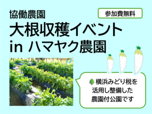 【NEW】大根収穫イベント