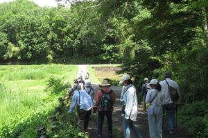 【NEW】季節をみつける谷戸あるき