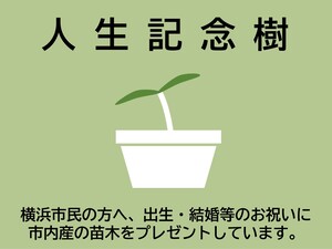 【NEW】人生記念樹の申込
