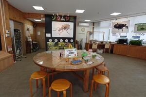 【NEW】ゾウムシ展