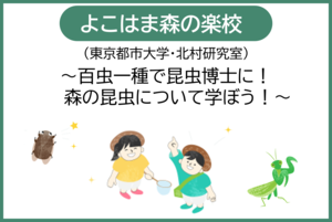 【NEＷ】よこはま森の楽校 百虫一種で昆虫博士に！ 森の昆虫について学ぼう！