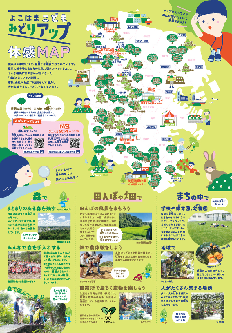 こどもみどりアップリーフレット中面画像