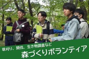 森づくりボランティア（森を育む人材の育成事業について）森づくりボランティア体験会・登録
