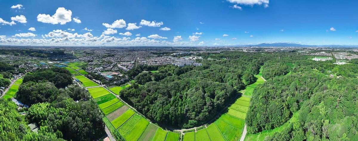寺家市民の森　里山の豊かなみどりと市街地が広がる風景