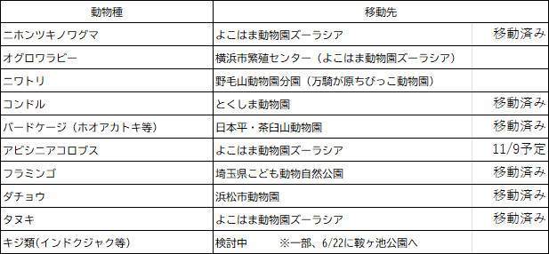 移動を予定している動物表