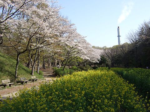 꽃밭의 사진