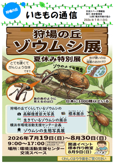 いきもの通信2026夏号表紙