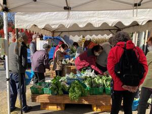 Legumes do mercado matutino