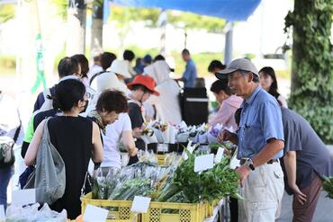 青空市・直売所の様子