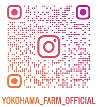 横浜農場インスタグラム