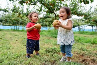 hamanashi_shuukaku_2