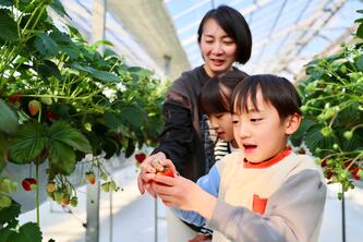 ichigonoshukakutaiken