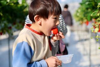 ichigonoshukakutaiken_2