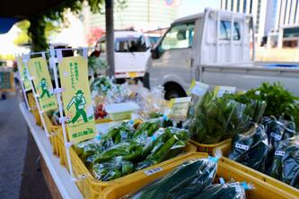 minatomirainoukaasaichi