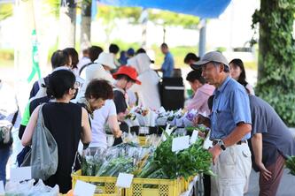 minatomirainoukaasaichi_2