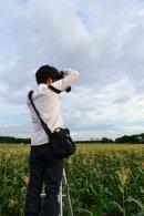 トウモロコシ畑を撮影する大無田さんの写真