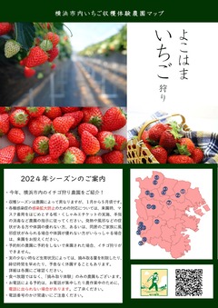 摘草莓的橫濱市內向導傳單