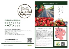 いちご狩りの横浜市内案内チラシ