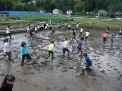 ドロリンピックの画像