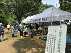 グリーンフェスタの画像