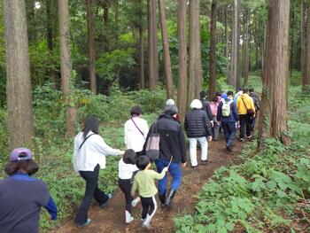 追分市民の森「八ツ塚みち」散策の写真