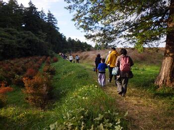 令和６年度追分市民の森「塚松みち」散策の様子