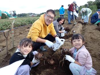 令和６年の里芋収穫体験の写真