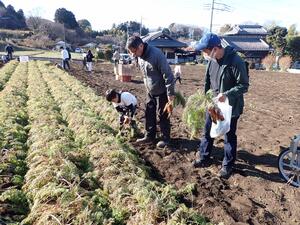 収穫体験の様子の写真