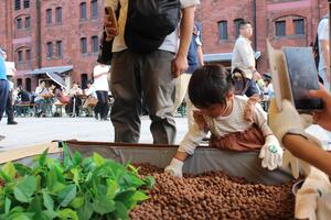 みなとみらいでの農体験イメージ