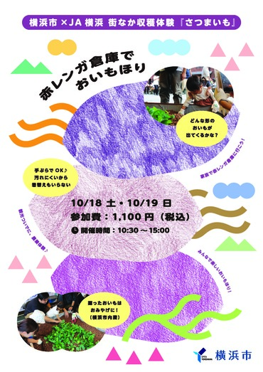 街なか収穫体験『さつまいも』メインビジュアル