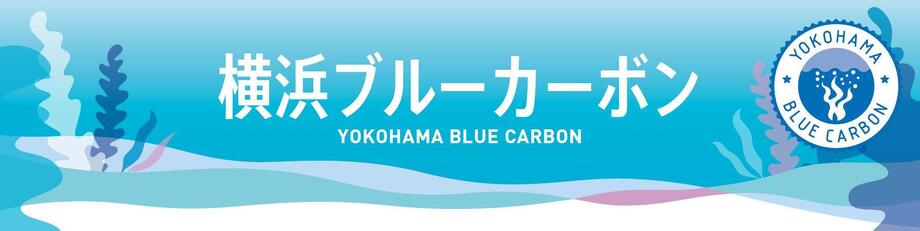 요코하마 블루 카본