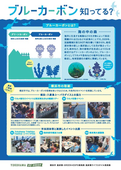 ブルーカーボンチラシ