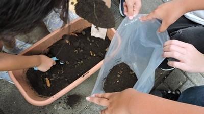 土を袋に移す様子