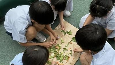 子ども達が野菜を小さくする様子